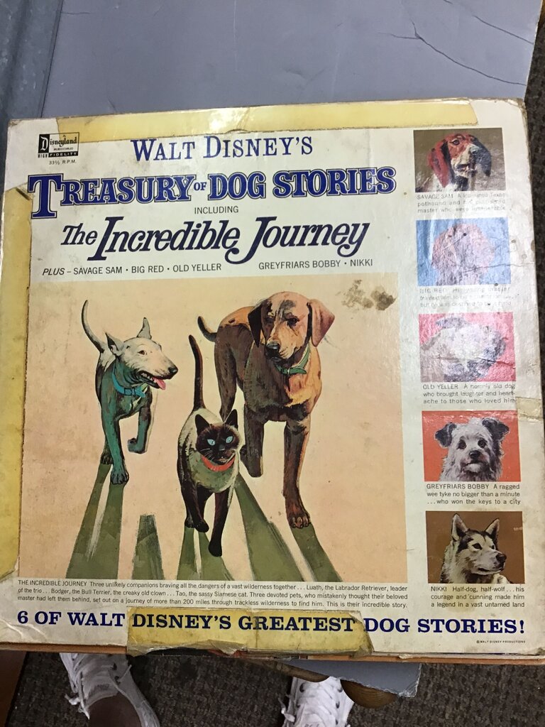 Walt Disney's Treasury of Dog Stories
