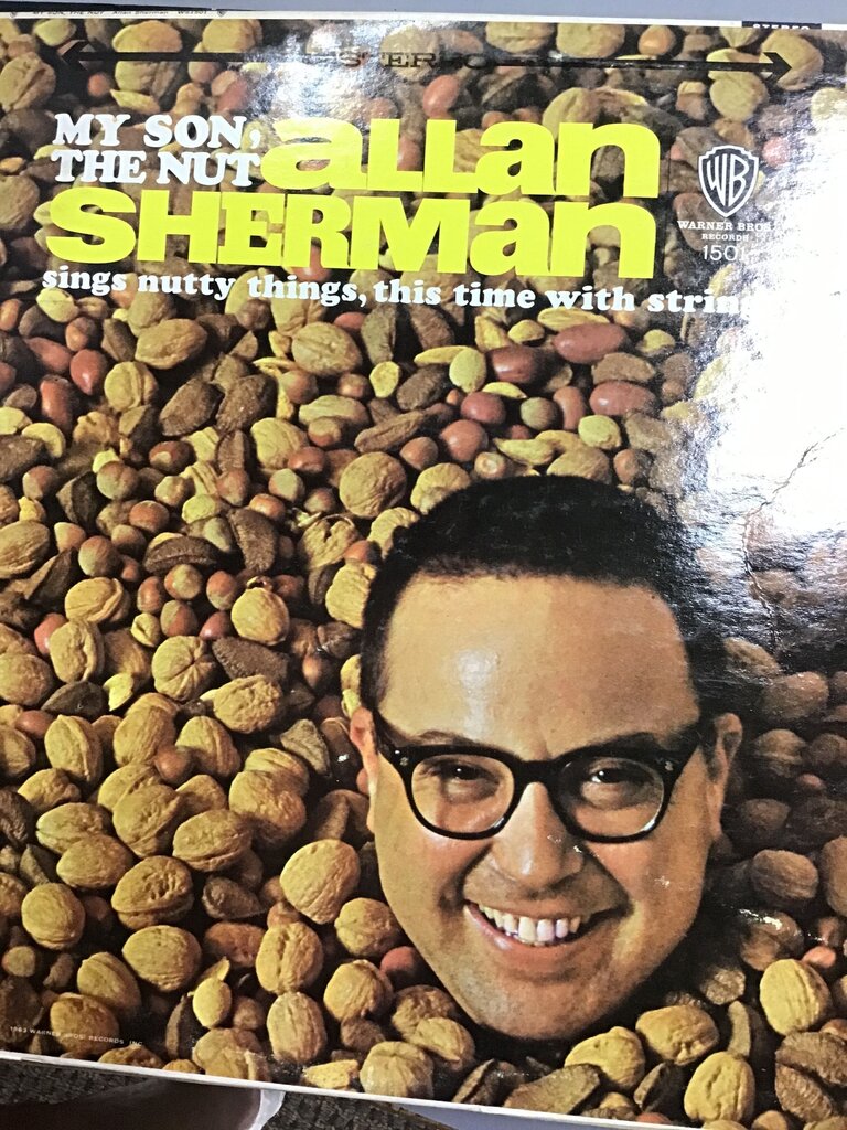 My Son, the Nut by Allan Sherman